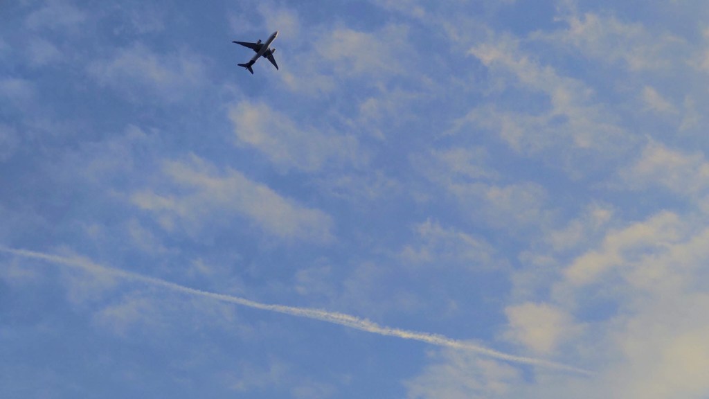 6/28/2023 横芝光町のステキなスポット発見！