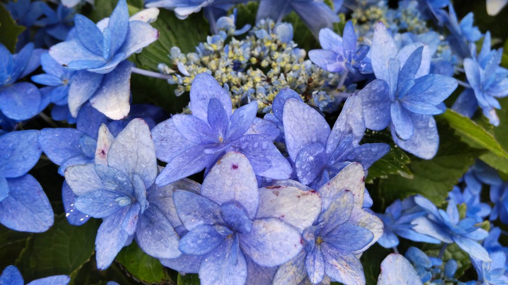 6/2/2023 初めての一般質問＠議会